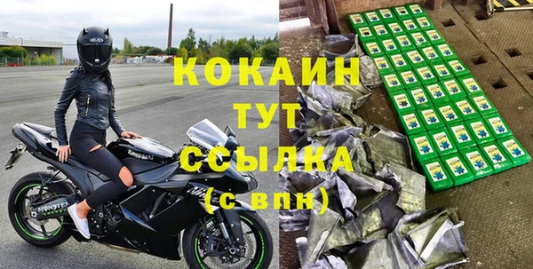 гашик Арсеньев