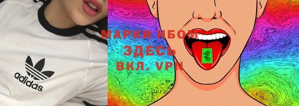 гашик Арсеньев
