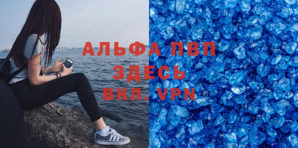 гашик Арсеньев
