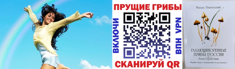 Псилоцибиновые грибы прущие грибы  Колпашево 